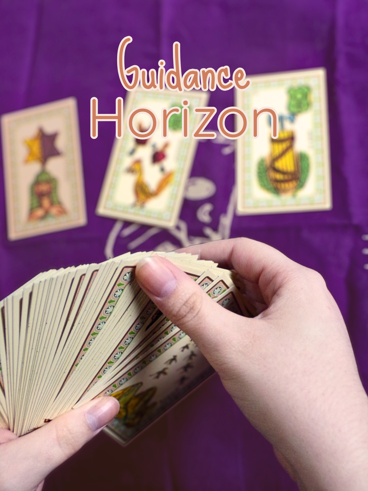 Guidance Horizon