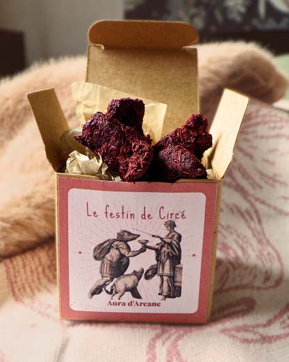 Le festin de Circé