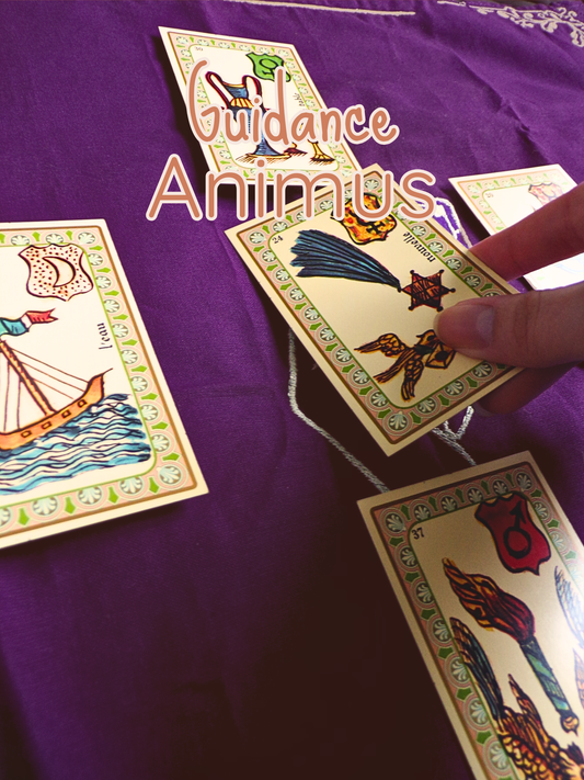 Guidance Animus